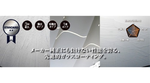 ボディコーティング (CSC ORIGINAL/REXE) 3年耐久【社外品】